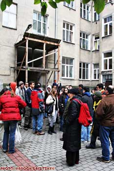 IMG_ (10428)